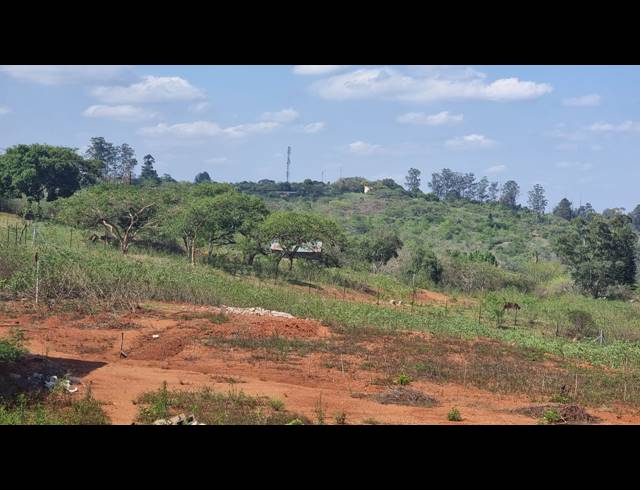3.20HA FARM TO LET IN WHITE RIVER AH